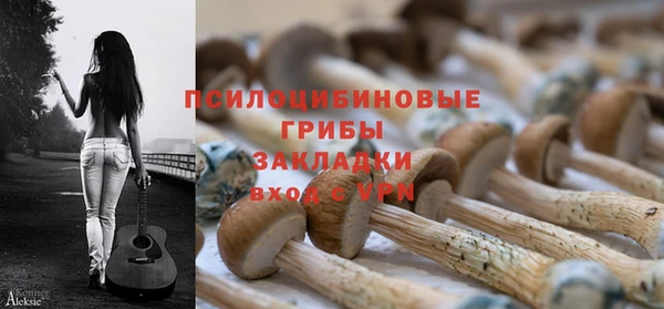 spice Алексеевка