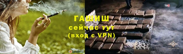 гашик Алексин