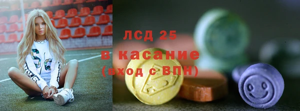 гашик Алексин