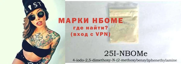 гашик Алексин