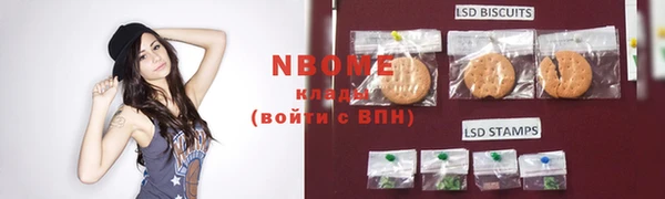 гашик Алексин