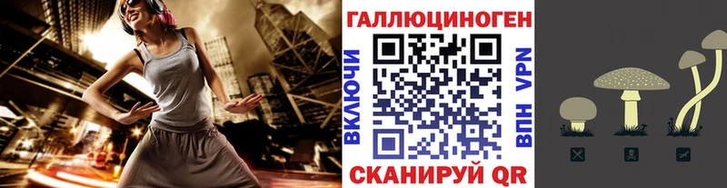Галлюциногенные грибы Psilocybe  Анива 